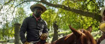Went to concret cowboys to watch a football game. Tiff 2020 Review Concrete Cowboy A Tale Of Black Horsemanship And Urban Cowboy Subculture Black Girl Nerds
