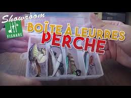 Debuter La Peche De La Perche Avec Des Leurres Pas Chers Chers Debuter Fishare Peche Leurres De Peche Faites Maison Leurre