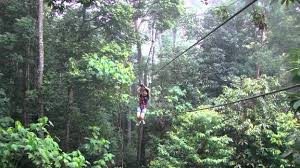 Our other two parks are in melaka and langkawi respectively. Skytrex Adventure Shah Alam Tempat Menarik Di Selangor 2020 Memang Best