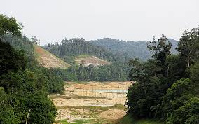 And group chief executive officer & trustee at taylor's education sdn. Penang Water Authority Decries Replacement Forests Offer By Kedah To Loggers Free Malaysia Today Fmt