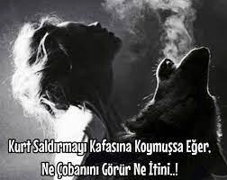 agir abi sozleri panosundaki pin
