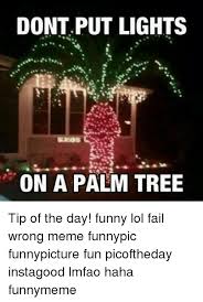 Submitted 1 month ago by thememeoftheday. Dont Put Lights On A Palm Tree Tip Of The Day Funny Lol Fail Wrong Meme Funnypic Funnypicture Fun Picoftheday Instagood Lmfao Haha Funnymeme Fail Meme On Me Me