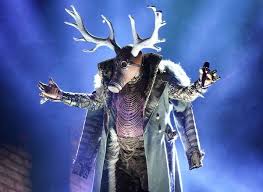 Pin On Masked Singer Costumes