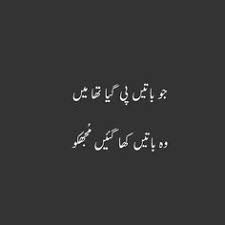 630 Best Urdu Quotes images in 2020 | Urdu quotes, Quotes, Urdu