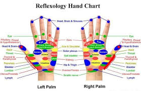 Reflexology Stomach Power Chinese Medicine Reflexology