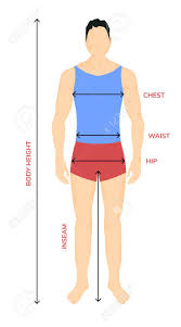 Submissions must be an example of a misunderstanding of anatomy. Man Anatomy Silhouette Size Human Body Full Measure Male Figure Royalty Free Cliparts Vectors And Stock Illustration Image 137865139