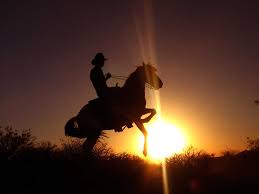 13 Country Songs To Box To Cowboy Pictures Horses Cowboy Song