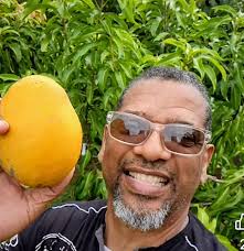 Fruit cocktail tree from Julies Tropical fruited in second year