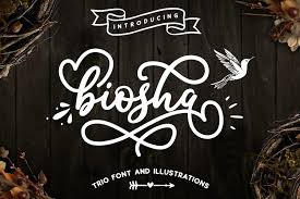 Alibaba sans medium italic commercial fonts font. My Favorite Fonts