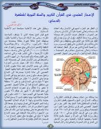 الدماغ Quran Muslim Book Miracles Of Quran