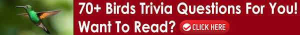 Have fun making trivia questions about swimming and swimmers. 50 Mammals Trivia Questions And Answers All Types
