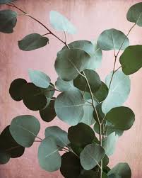 Botanical Print Set Pink Green Wall Art Set Of 2 Prints Etsy In 2021 Green Wall Art Framed Canvas Wall Art Leaf Photography