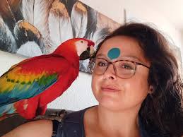 Photo by Tonia Nicole Woehler (@happy_bird_happy_home) · July 28, 2024