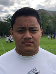 High school football: Pine View Panthers 2019 preview