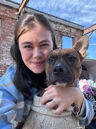 are there any vets that see tortoises?