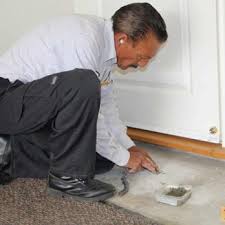 Antimite termite & pest management in st. Antimite Termite Pest Control 15 Photos Pest Control 750 S Lugo Ave San Bernardino Ca Phone Number