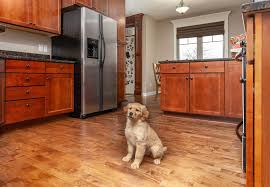 Taylor of scone house furnishers is a family run business with over 30 years experience in the ﬂooring, furniture and soft furnishing trade. Overall Health Benefits Of Hardwood Flooring Barnum Floors