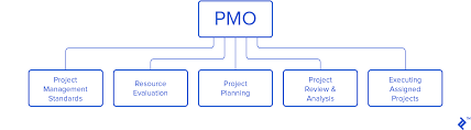 what is project management office a guide to pmo toptal