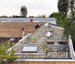 Garden House By Hayhurst And Co Grand Designs Houses Green Roof House Architecture