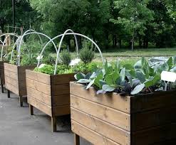 22 Fabulous Container Garden Design Ideas For Beautiful Balconies And Backyard Landscaping Container Garden Design Vegetable Garden Design Container Gardening Vegetables