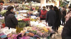 nanshan flower market in qingdao video in 2021 flower market nanshan flower shop