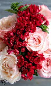 Pin By Staci Goble On Fiori Beautiful Flowers Pretty Flowers Flower Arrangements