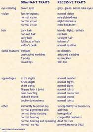 recesive genes for eye color eye color predictor eye