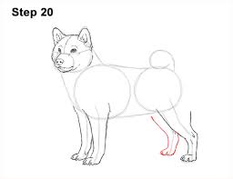 (3) draw and color with solid lines. How To Draw A Dog Shiba Inu Video Step By Step Pictures