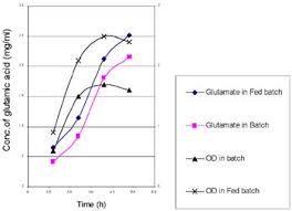 Fermentation And Recovery Of L Glutamic Acid From Cassava