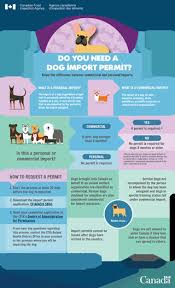 Maybe you would like to learn more about one of these? Canada Cracks Down On Illegal Dog Importations News Vin