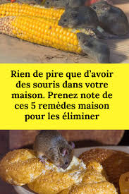 Rien De Pire Que D Avoir Des Souris Dans Votre Maison Prenez Note De Ces 5 Remedes Maison Pour Les Eliminer Souris Maison Remedes