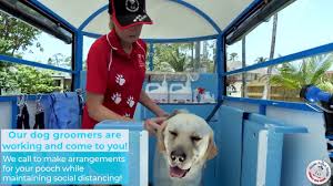 Tell us what you think in. Aussie Pooch Mobile Dog Wash Grooming Franchise Ph 1300 369 369