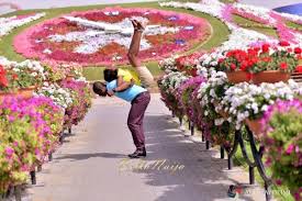 Tari Toyo S Dubai Miracle Garden Pre Wedding Shoot Akintayotimi Miracle Garden Pre Wedding Wedding Shoot