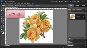 Learn how to draw floral pattern pictures using these outlines or print 660x400 40 beautiful flower drawings and realistic color pencil drawings. Photoshop Elements Make A Floral Pattern From Clipart Youtube