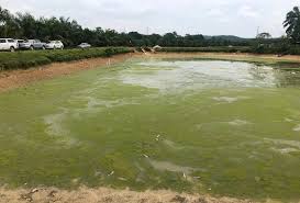 Pembuangan sampah sarap ke dalam sungai. Air Selangor Kolam Ternakan Ikan Keli Punca Pencemaran Exco Astro Awani