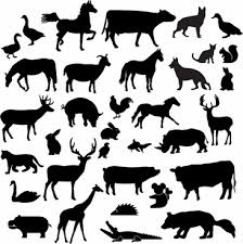 Download Animal Free Vector Download 9 842 Free Vector For Commercial Use Format Ai Eps Cdr Svg Vector Illustration Graphic Art Design