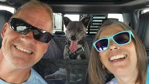 Fundraiser for Joy Litchfield by Vanessa Good : Aid Dan's Fight Against  Guillain-Barré