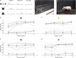 An overview of the benefits and risks of using cochlear implants. Hearing Restoration By A Low Weight Power Efficient Multichannel Optogenetic Cochlear Implant System Biorxiv