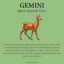 Gemini Spirit Animal Gemini Zodiac All About Gemini