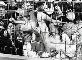 Image result for Orange Crush 2006 Escape