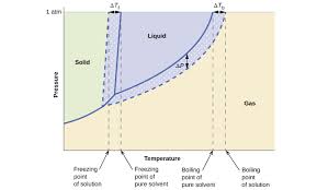 Start studying solubility and temperature gizmo. 11 4 Colligative Properties Chemistry