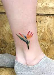 Bird Of Paradise Bird Of Paradise Tattoo Left Arm Tattoos Tattoos