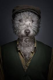 Dogs Dressed As Humans Pics Dog Art Dog Portraits Dog Dresses