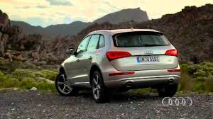 Image result for Arctic Silver 2013 Q5