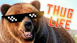 The minecraft skin, gangsta bear, was posted by emraylee. The Most Gangsta Bear Let S Play Party Hard 7 Youtube