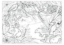 Here is a great coloring worksheet that doubles as a memory matching game! Real Animal Coloring Pages Jungle Coloring Pages And Marvelous Jungle Animal Coloring Pages Real Jungle Coloring Pages Animal Coloring Pages Rainforest Animals