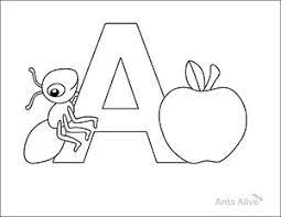 Teach your kids not to be afraid of ants by ant coloring pages. A For Ant Picture Free Download Vector Psd And Stock Image