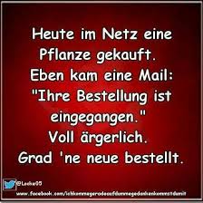 Wenn Dummheit Weh Tun Wurde Lustige Spruche Coole Spruche Witzige Spruche