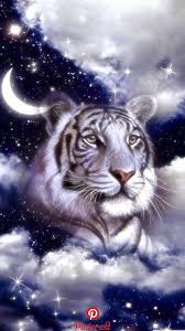 Wallpaper By Artist Unknown Tiger Pinterest Tiger Wallpaper Siberia Big Cats Art Tiger Pictures Tiger Wallpaper