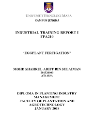 I declares that the work in this industrial training report was carried out in accordance with the rules and regulations of universiti teknologi mara (uitm). Industrial Training Report I Template Myagrosis